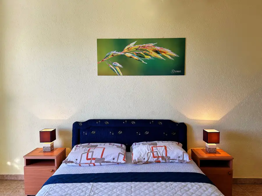 House 112m² in Montenegro, Sutomore. Priced at 147000€ rent photo-15