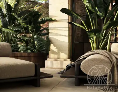 Buy in Indonesia for 155000$