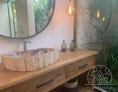 Buy in Indonesia for 1200000$