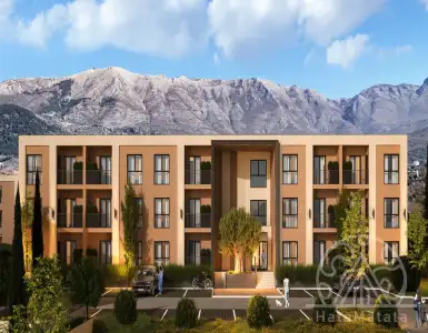 Buy in Montenegro for 234060€