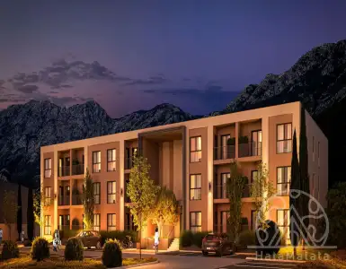 Buy in Montenegro for 69825€