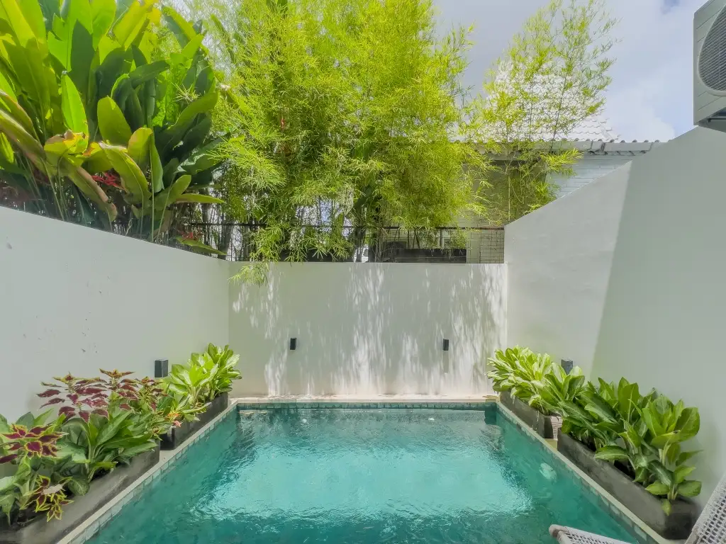 Flat 44m² in Indonesia, Canggu. Priced at 120000$ rent photo-15