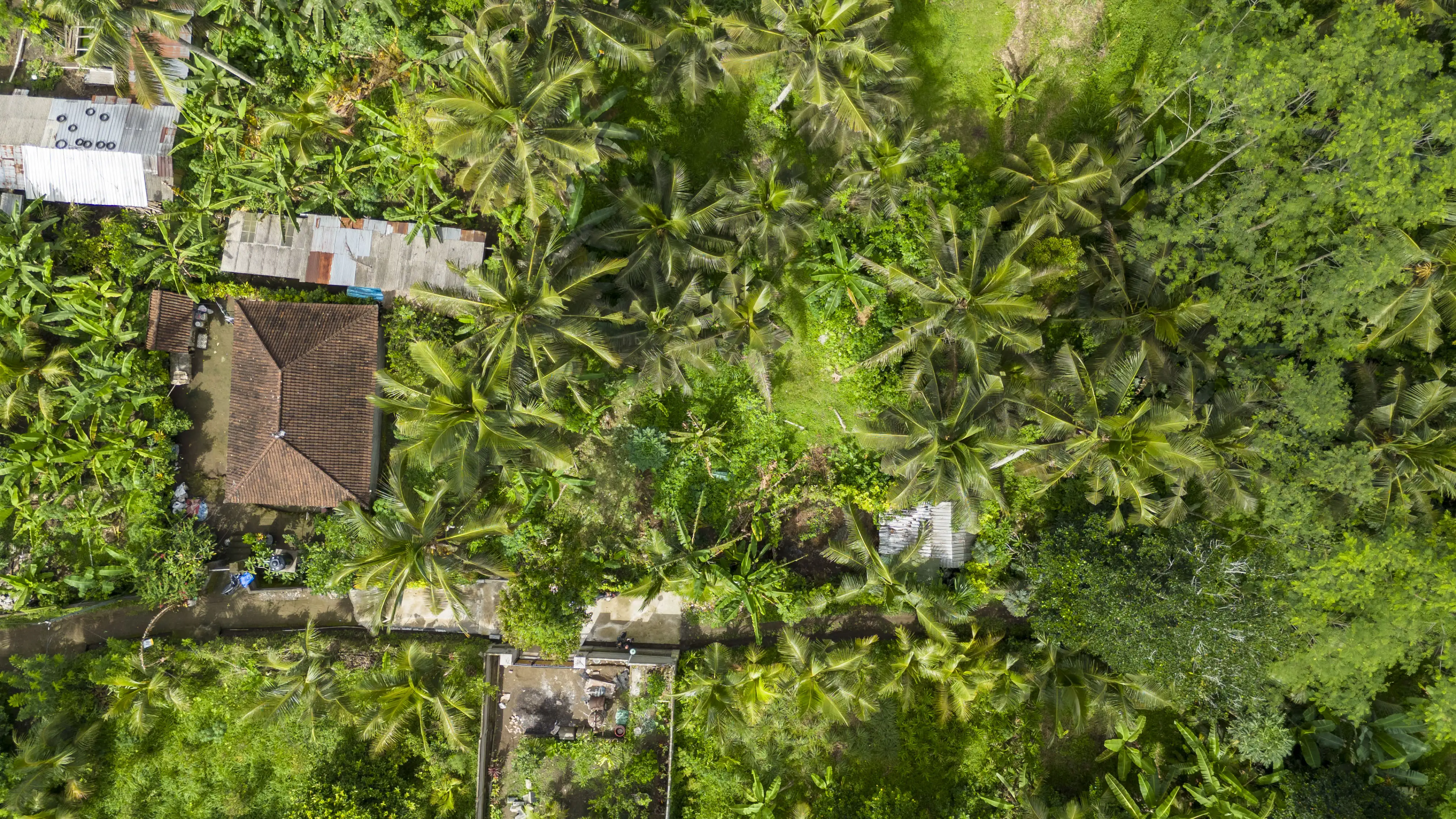 Land 0m² in Indonesia, Ubud. Priced at 120055$ rent photo-2