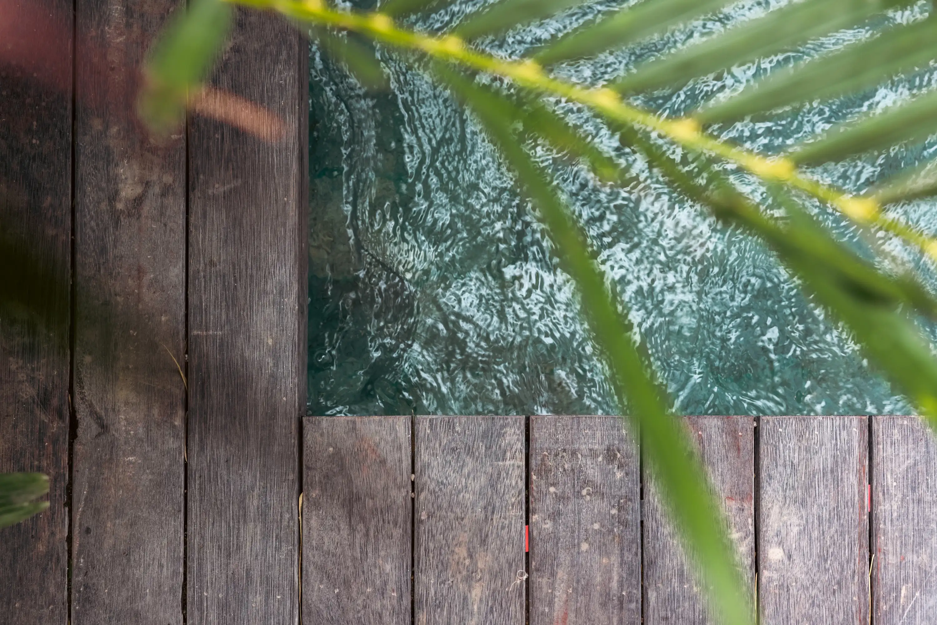 Villa 80m² in Indonesia, Canggu. Priced at 210000$ rent photo-2