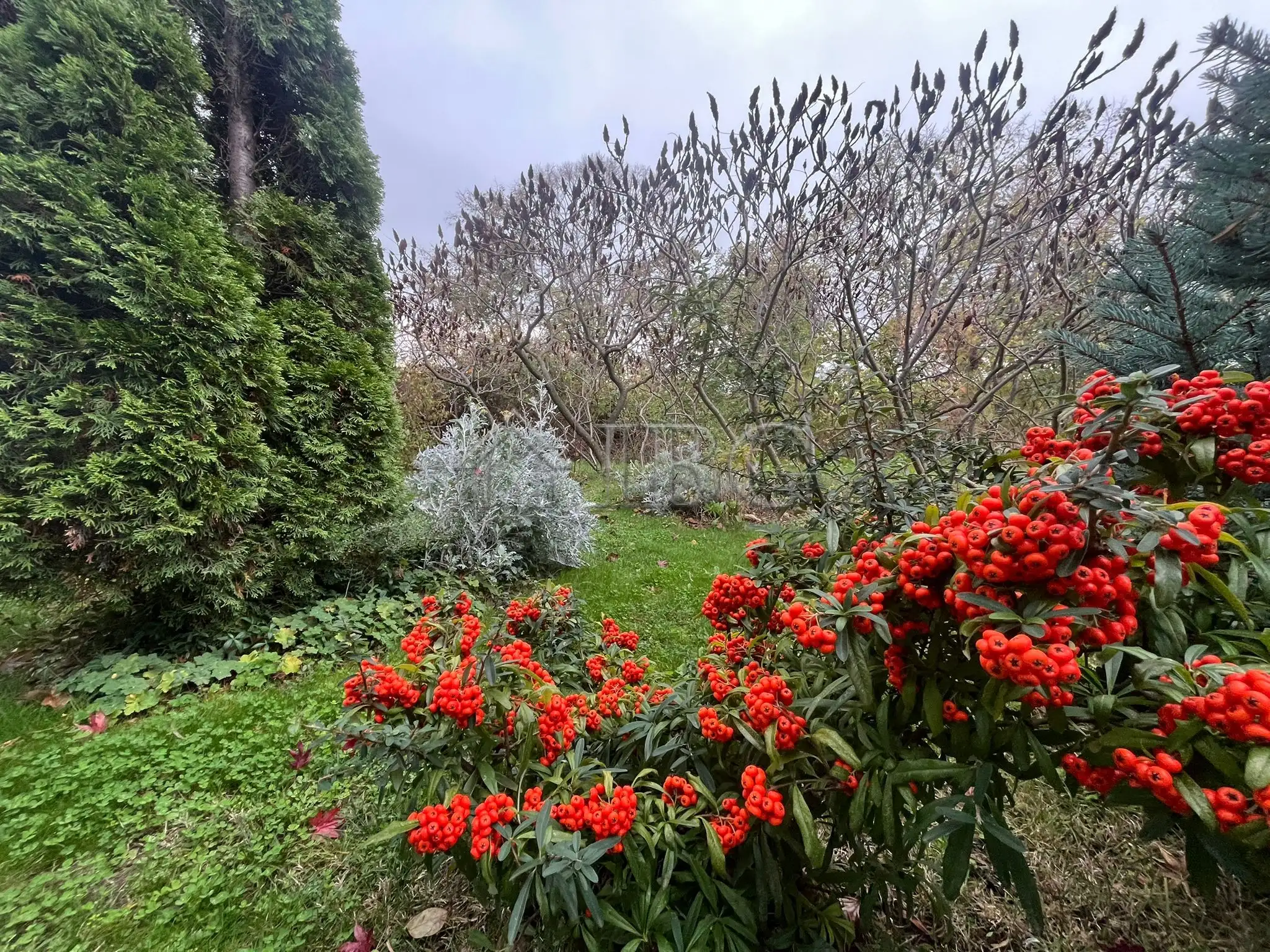 Flat 68m² in Bulgaria, Sveti Vlas. Priced at 79900€ rent photo-14