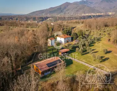 Buy in Italy for 1750000€