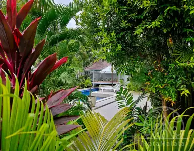 Buy in Indonesia for 1452300$