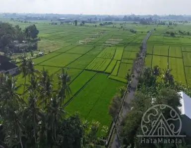 Buy in Indonesia for 264200$