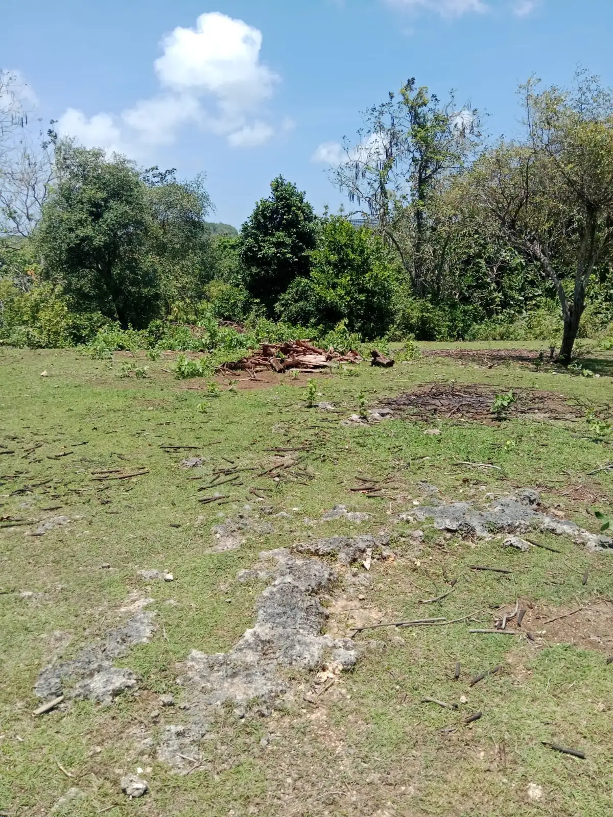 Land 1430m² in Indonesia, Bukit. Priced at 508700$ rent photo-3