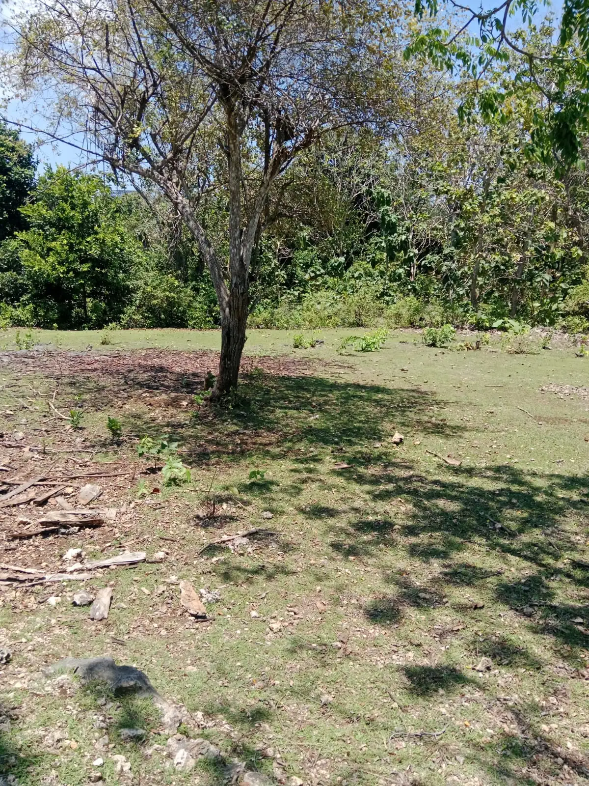 Land 1430m² in Indonesia, Bukit. Priced at 508700$ rent photo-5