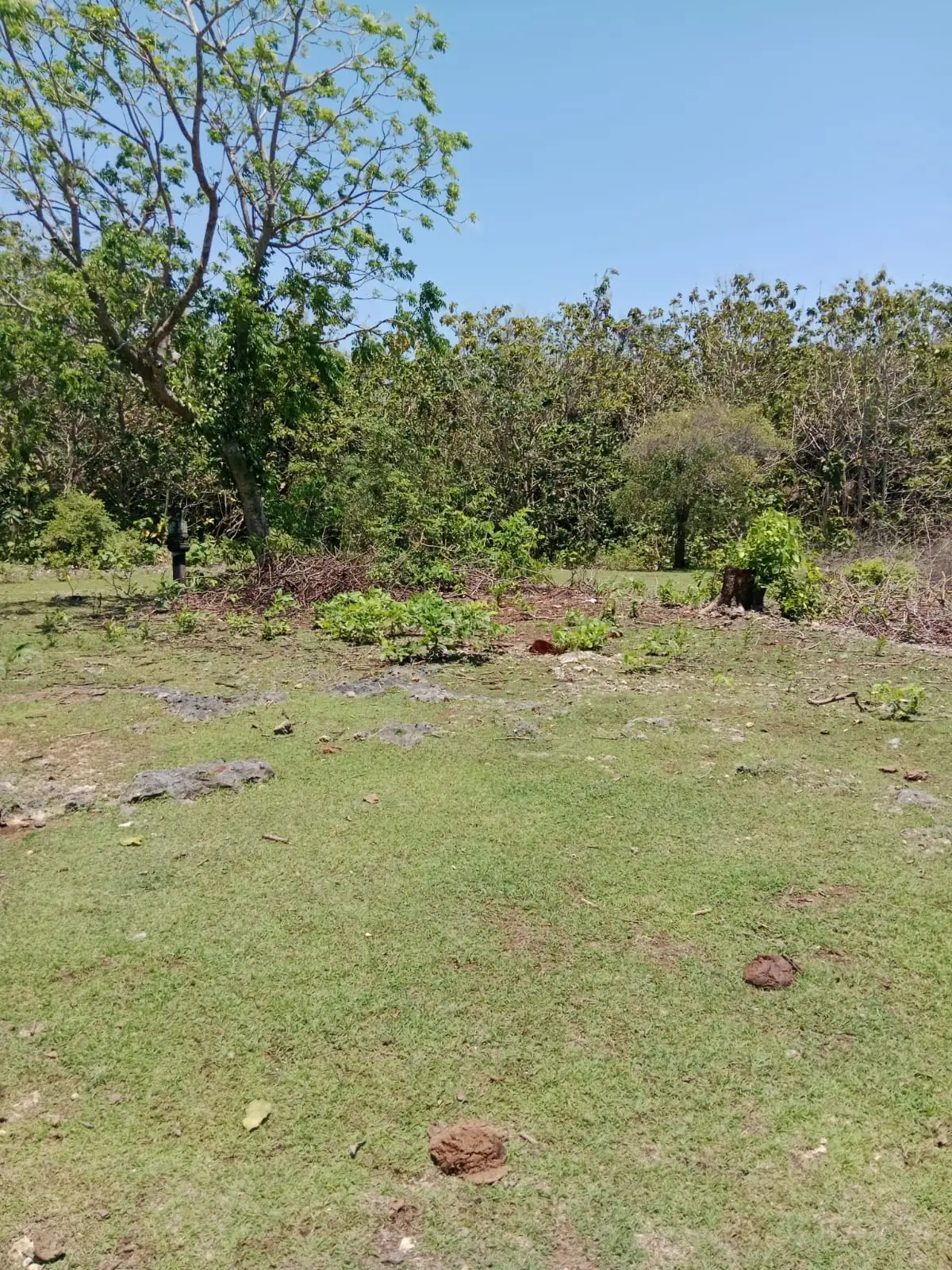 Land 1430m² in Indonesia, Bukit. Priced at 508700$ rent photo-6