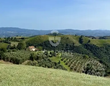 Buy in Italy for 1900000€
