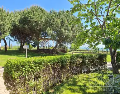 Buy in Bulgaria for 135000€