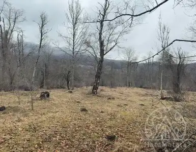 Buy in Montenegro for 195000€