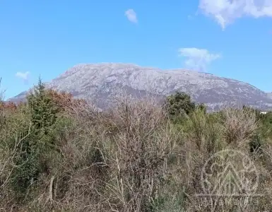 Buy in Montenegro for 450000€