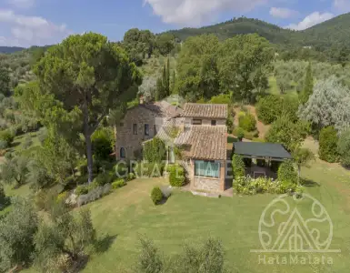 Buy in Italy for 1750000€