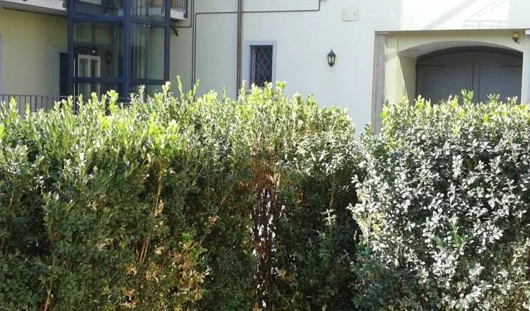 Flat 80m² in Italy, Bergamo. Priced at 155392£ rent photo-4