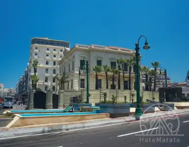 Buy in Egypt for 29000€