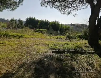 Buy in Portugal for 225000€