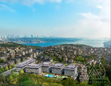 Buy in Turkey for 374162$