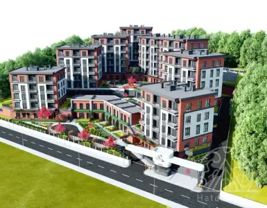 Buy in Turkey for 242381$