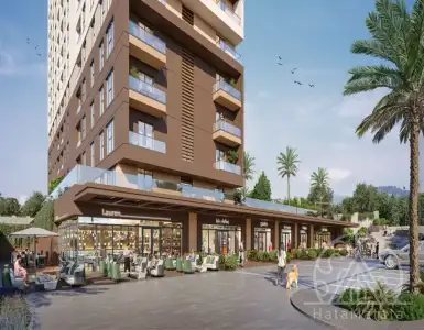 Buy in Turkey for 230000$