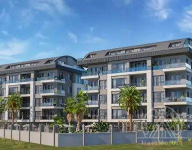 Buy in Turkey for 306121$