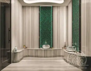 Buy in Turkey for 2436500$