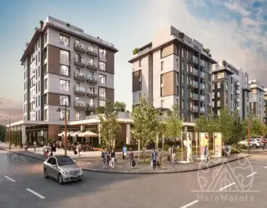 Buy in Turkey for 248159$