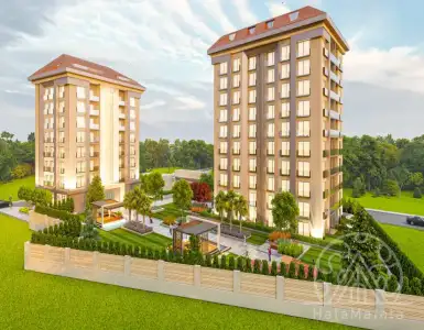 Buy in Turkey for 250000$