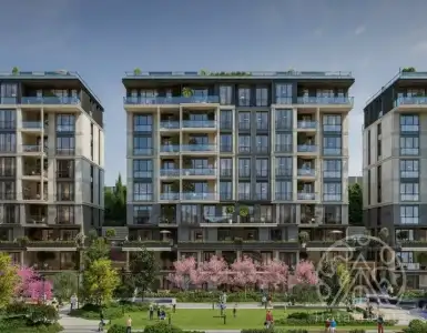 Buy in Turkey for 1250000$