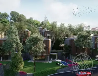 Buy in Turkey for 1092000$