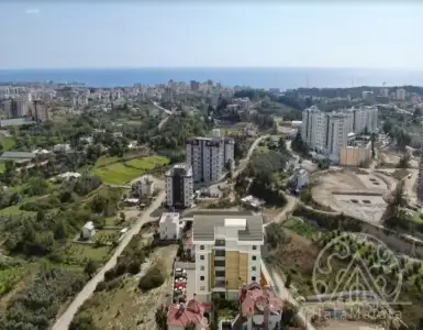 Buy in Turkey for 118274$