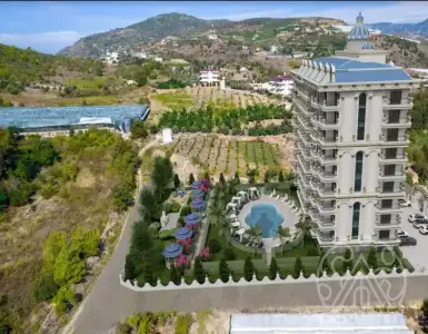 Buy in Turkey for 130449$