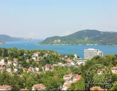 Buy in Turkey for 1800000$