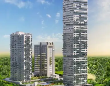 Buy in Turkey for 190000$