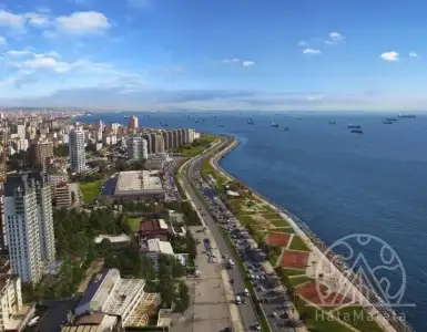 Buy in Turkey for 432809$