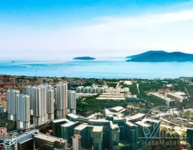 Buy in Turkey for 246100$