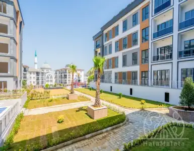 Buy in Turkey for 250000$