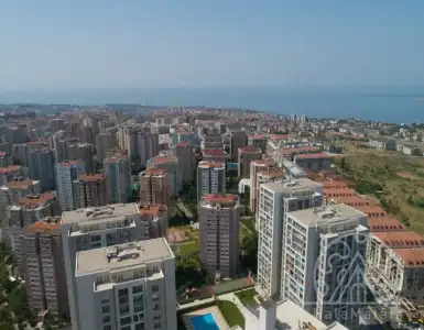 Buy in Turkey for 502000$