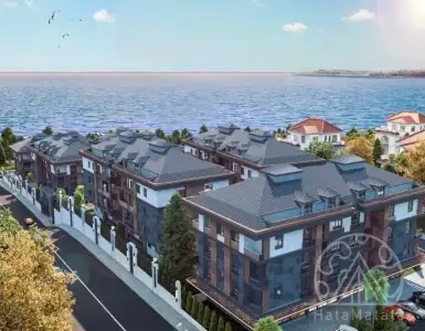 Buy in Turkey for 250000$