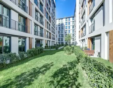 Buy in Turkey for 260000$