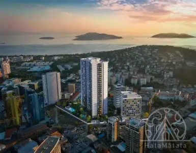 Buy in Turkey for 259289$