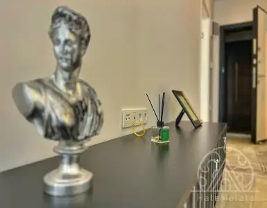 Buy in Turkey for 119000€