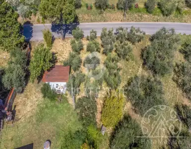 Buy in Italy for 295000€