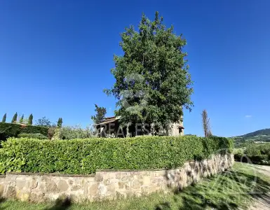 Buy in Italy for 625000€