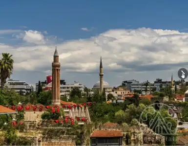 Buy in Turkey for 70000$