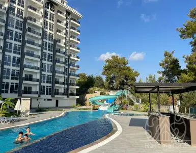 Buy in Turkey for 55000€
