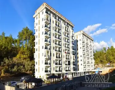 Buy in Turkey for 59500€