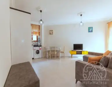 Buy in Turkey for 66000€